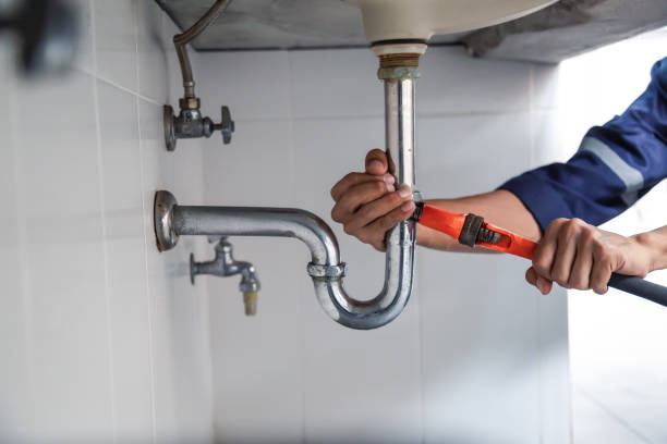 Best Plumbing Inspection Services  in Orange City, IA
