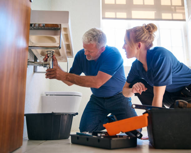 Best Leak Detection Services  in Orange City, IA